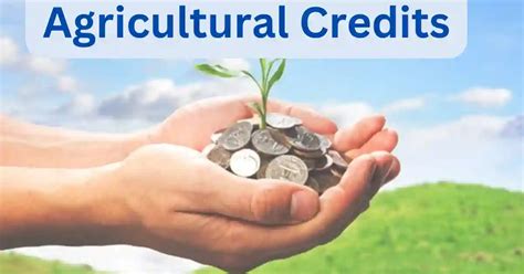 Agricultural Credit and Financing Programs .